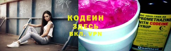 не бодяженный Алексин