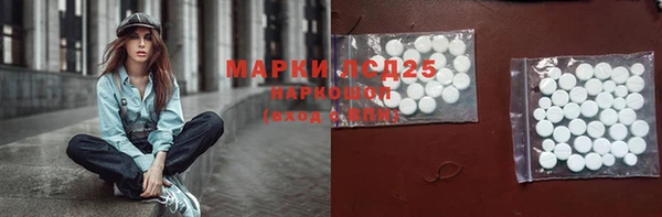 гидра Алексеевка