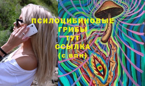 гидра Алексеевка