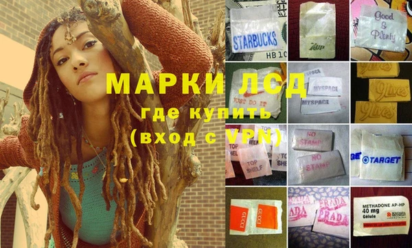 винт Алзамай