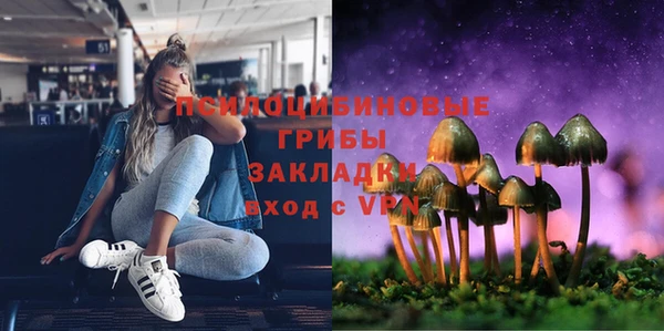 не бодяженный Алексин