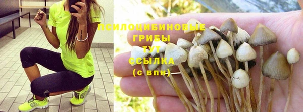 винт Алзамай