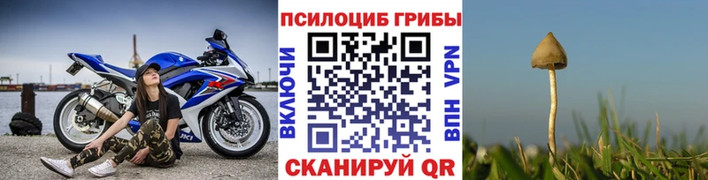 Псилоцибиновые грибы Psilocybine cubensis  Осинники 