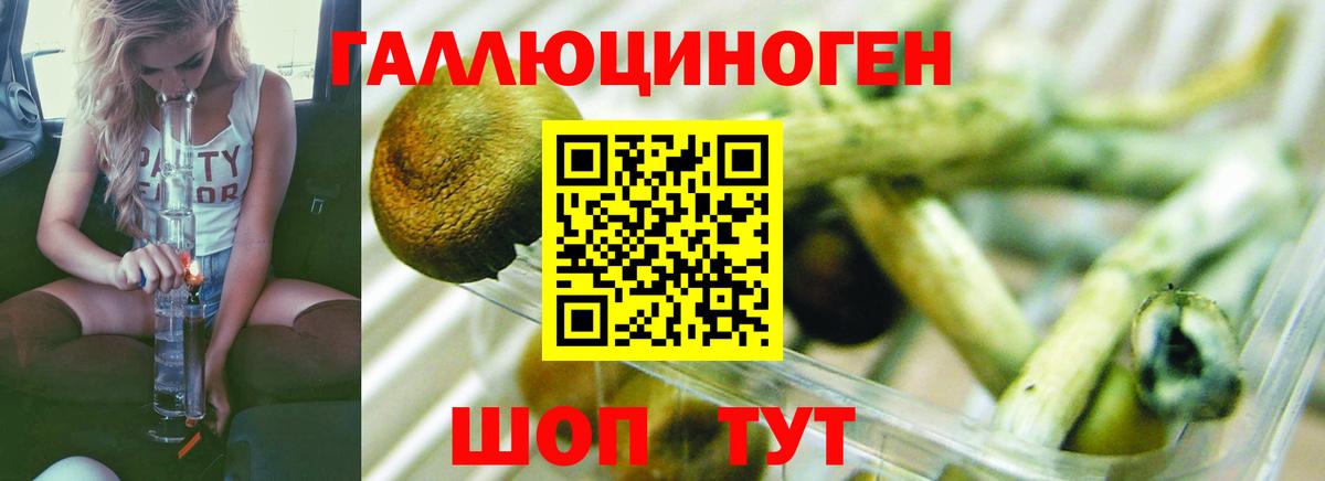 Галлюциногенные грибы Cubensis  Вход с VPN  Галлюциногенные грибы MAGIC MUSHROOMS  Осинники 